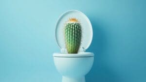Toilet with large cactus in bowl, piles symptoms in South Africa
