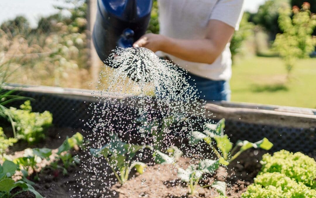 The Health Benefits Of Gardening