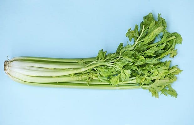 Closeup of fresh celery that you'd use to make celery juice on blue background