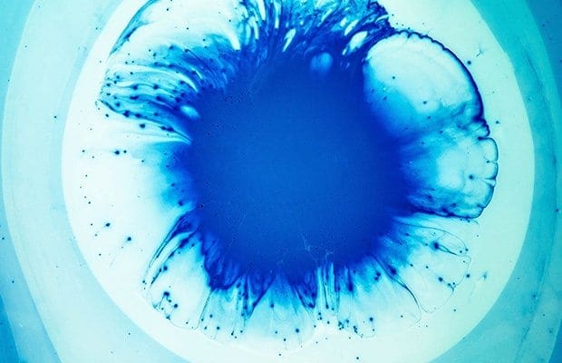 Close up of a stem cell in a petri dish