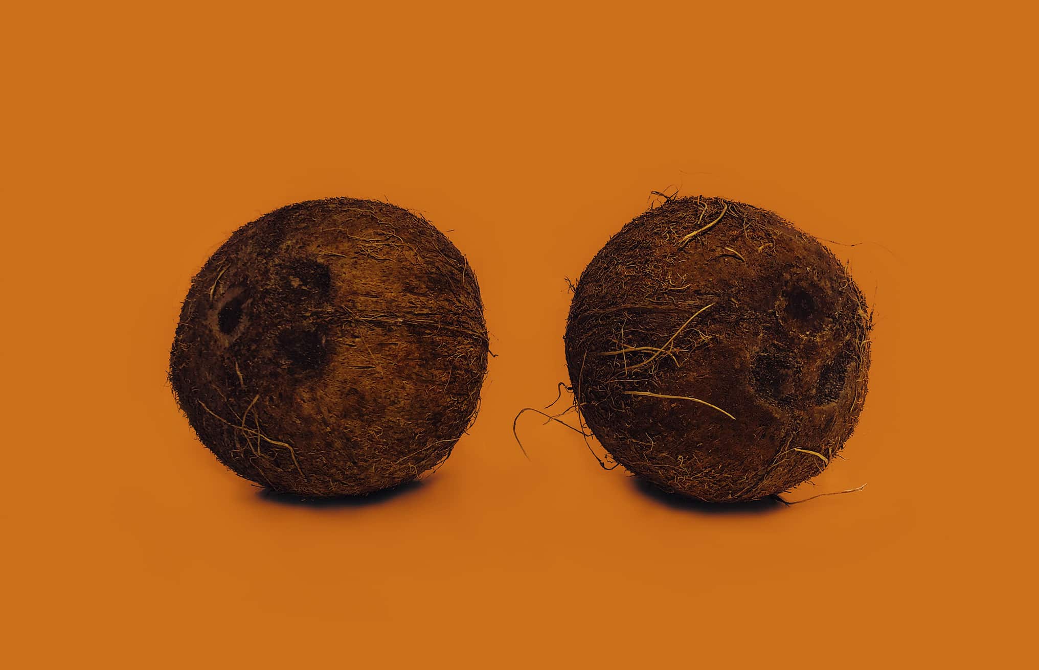 Cocnuts containing coconut oil which can be used for sunburn relief