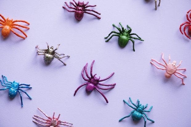 bugs on a purple background to represent bug bites