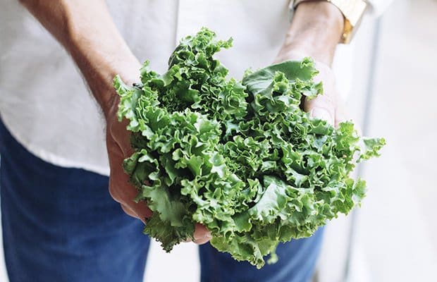 A woman holding a bunch of kale