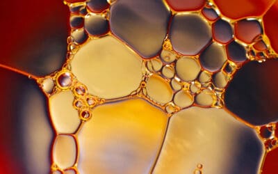 10 Best Essential Oils To Help Relieve Anxiety and Stress