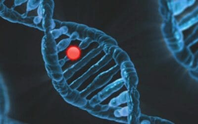 Finally, A Medical Aid Is Offering DNA Tests To All Members