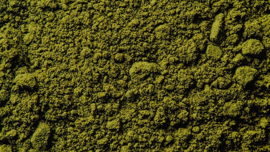 macro photography of moringa powder 