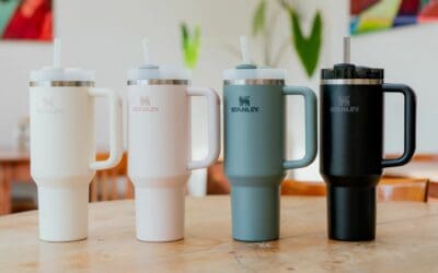 The Stanley Quencher H2.0 Finally Arrives In South Africa