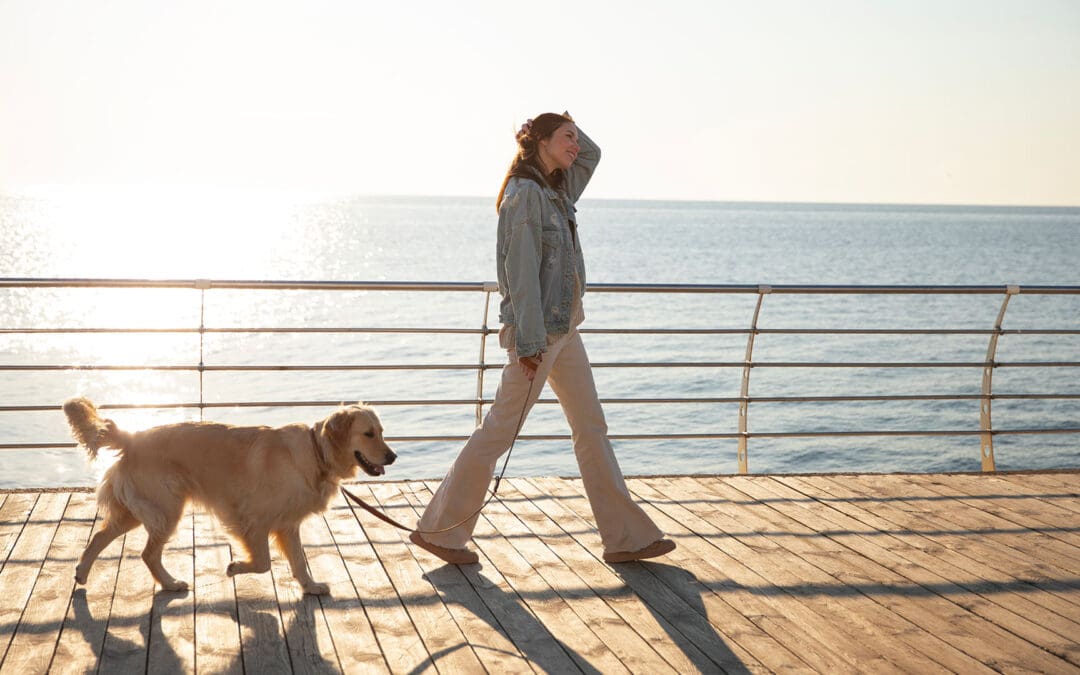 Are Stiff Joints Affecting Your Pet This Winter?