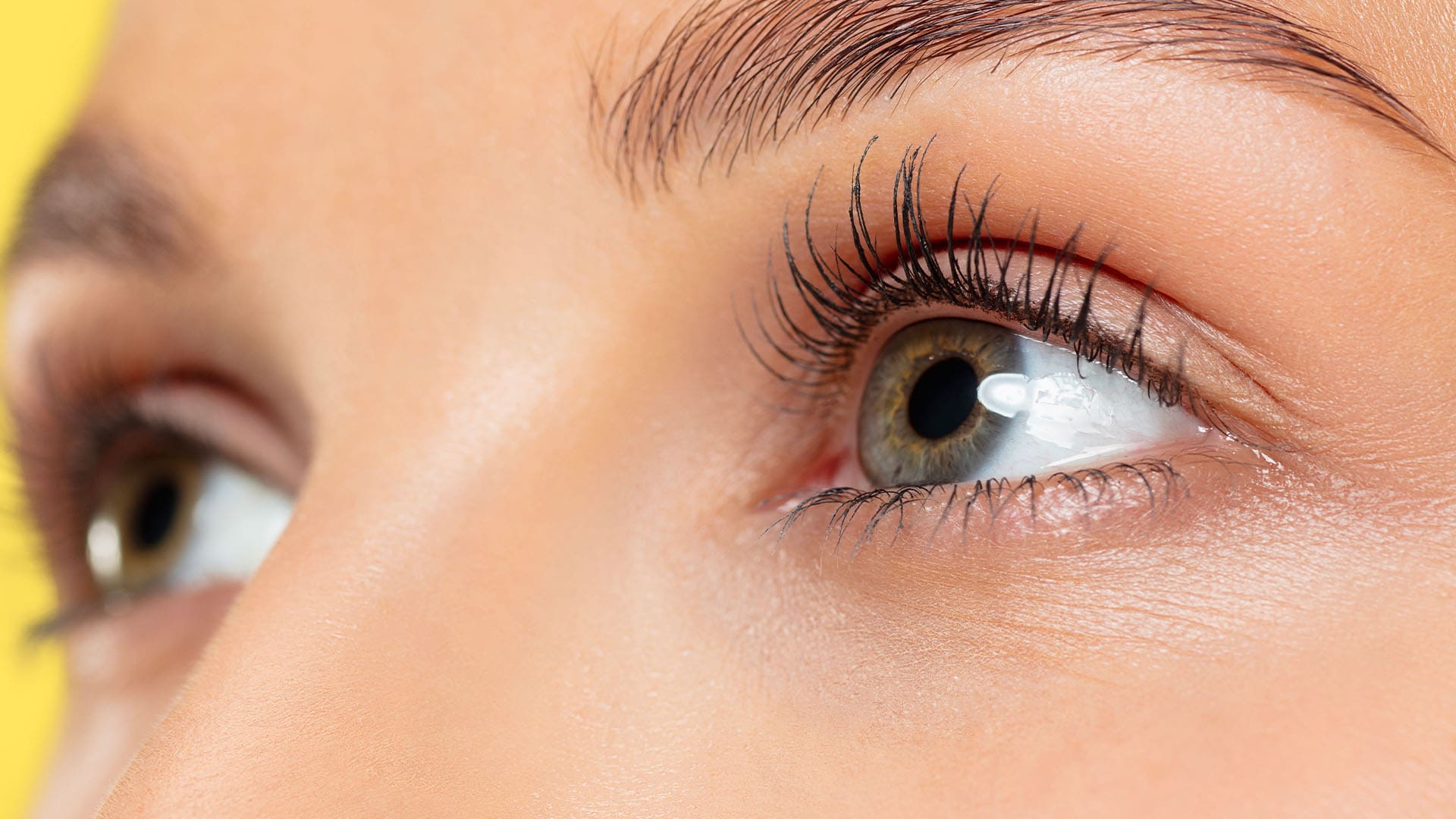 close-up shot of woman's eyelashes