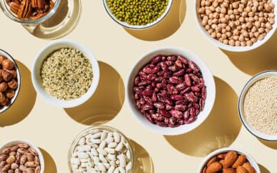 Why Fibre, Not Just Protein, Is Key For Weight Loss
