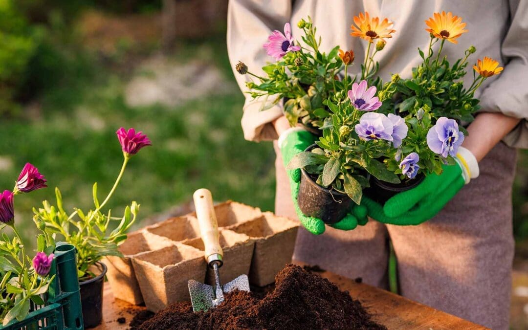 10 Gardening Tools Every Beginner Needs