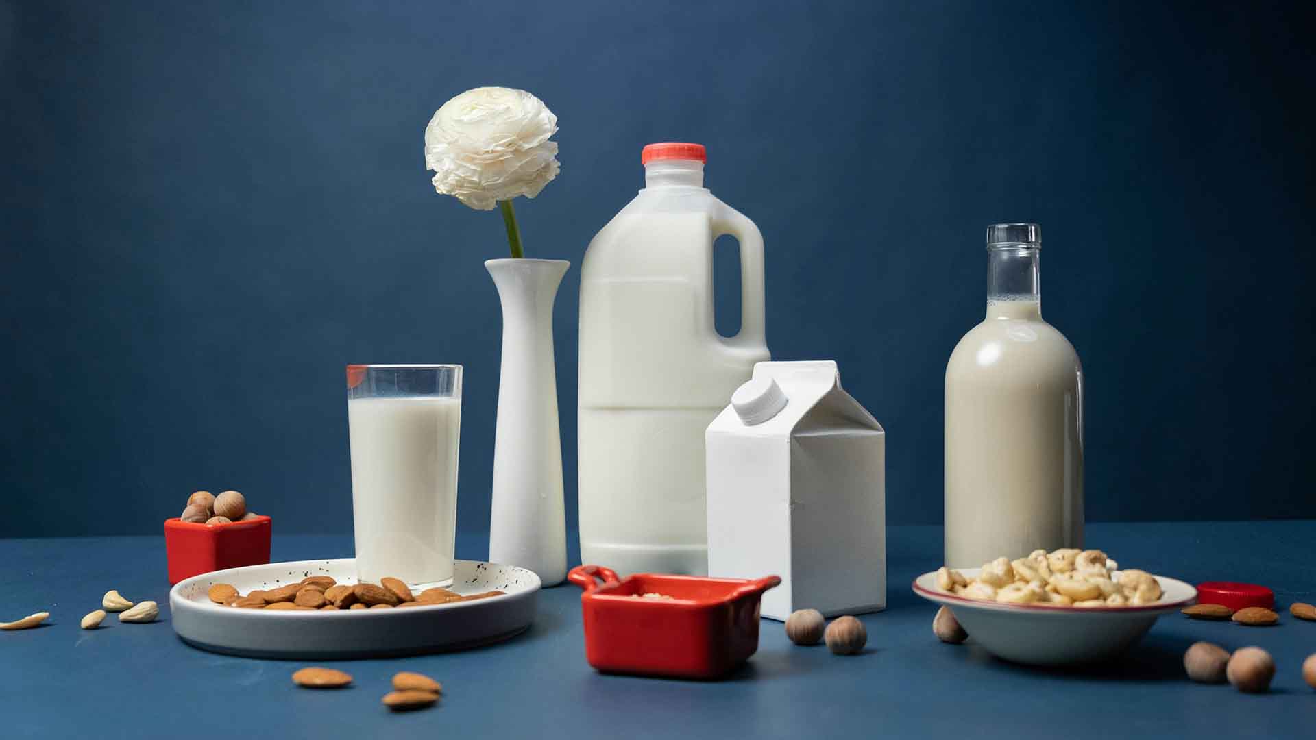 Best Dairy Foods For Weight Loss Dairy products displayed in front of a blue background