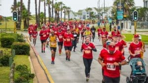 People running the Absa Run Your City Cape Town 10K