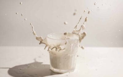 Full-Fat Or Low-Fat? What Dieticians Want You To Know About Dairy And Weight Loss