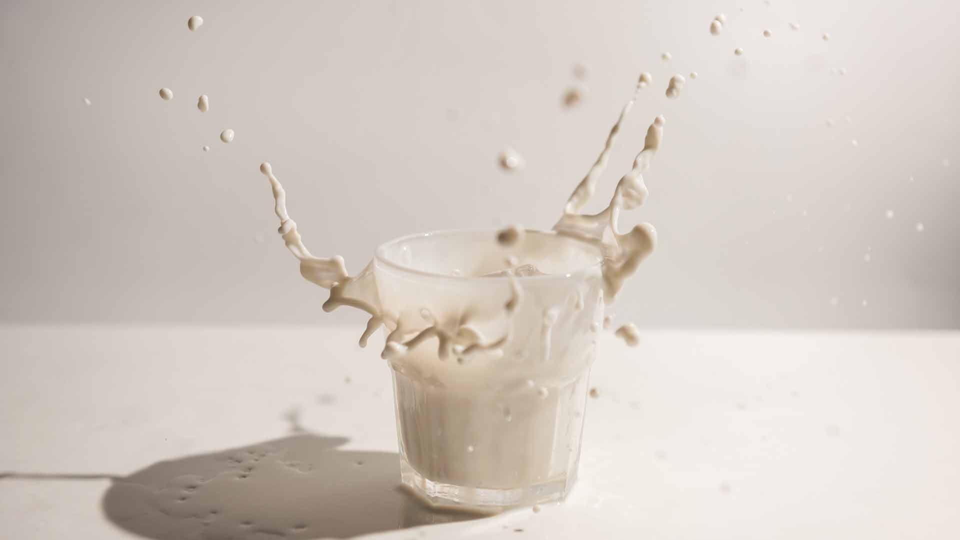 Full-Fat Or Low-Fat Dairy For Weight Loss