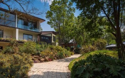Inside Vivari Hotel & Spa: The Luxury Oasis Shaping SA’s Medical Tourism Scene
